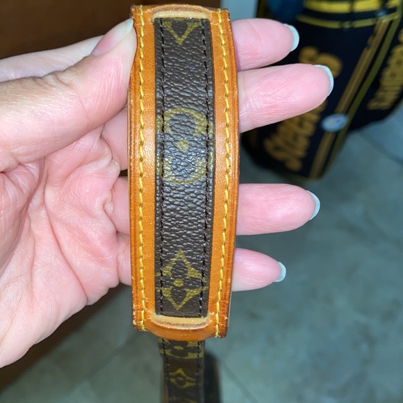 Authentic Louis Vuitton Danube PM Monogram Crossbody Bag - Picture 10 of 17